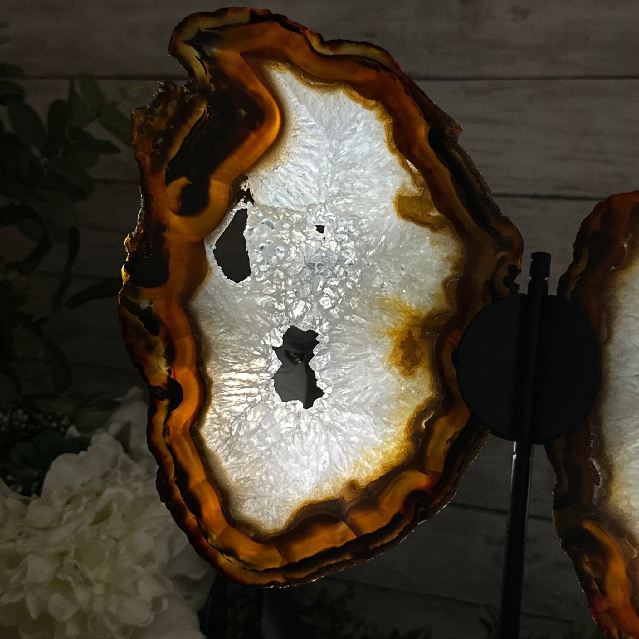 Natural Brazilian Agate "Butterfly Wings", 15" Tall #5050NA-083 - Brazil GemsBrazil GemsNatural Brazilian Agate "Butterfly Wings", 15" Tall #5050NA-083Agate Butterfly Wings5050NA-083