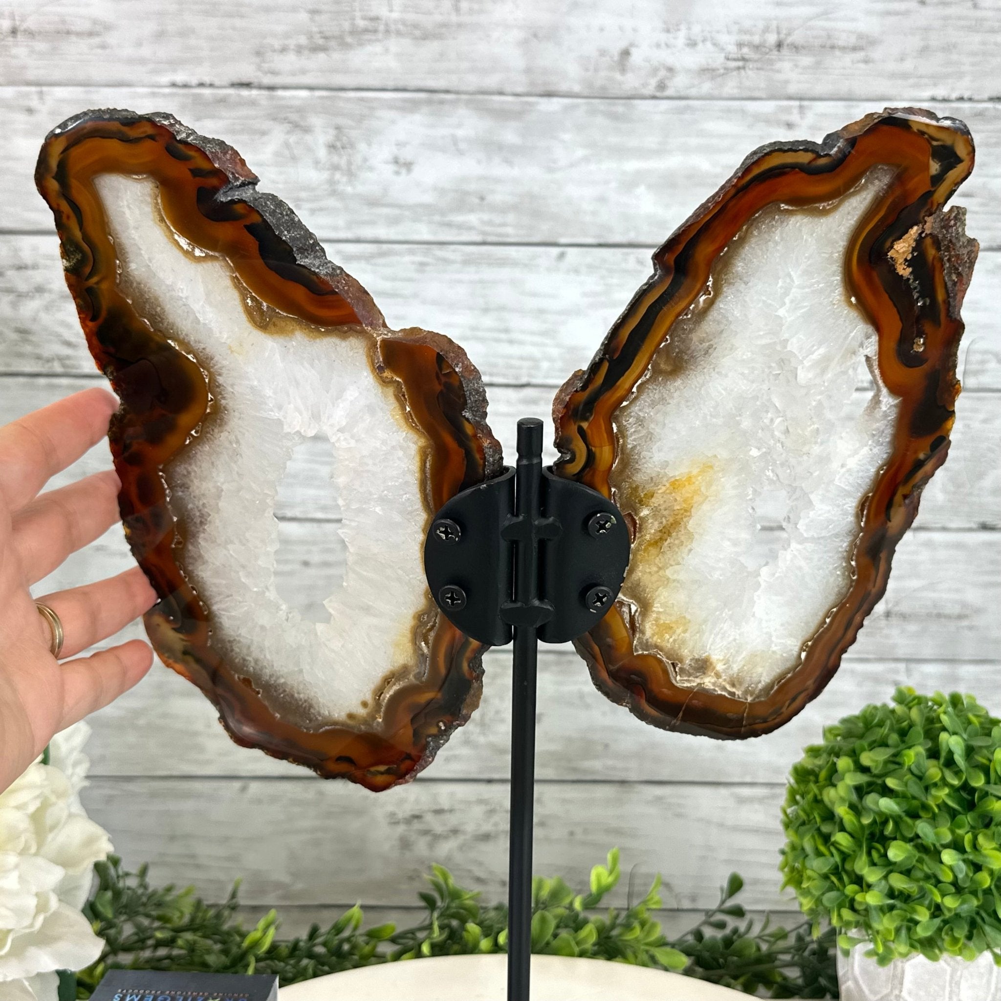 Natural Brazilian Agate "Butterfly Wings", 15" Tall #5050NA-083 - Brazil GemsBrazil GemsNatural Brazilian Agate "Butterfly Wings", 15" Tall #5050NA-083Agate Butterfly Wings5050NA-083
