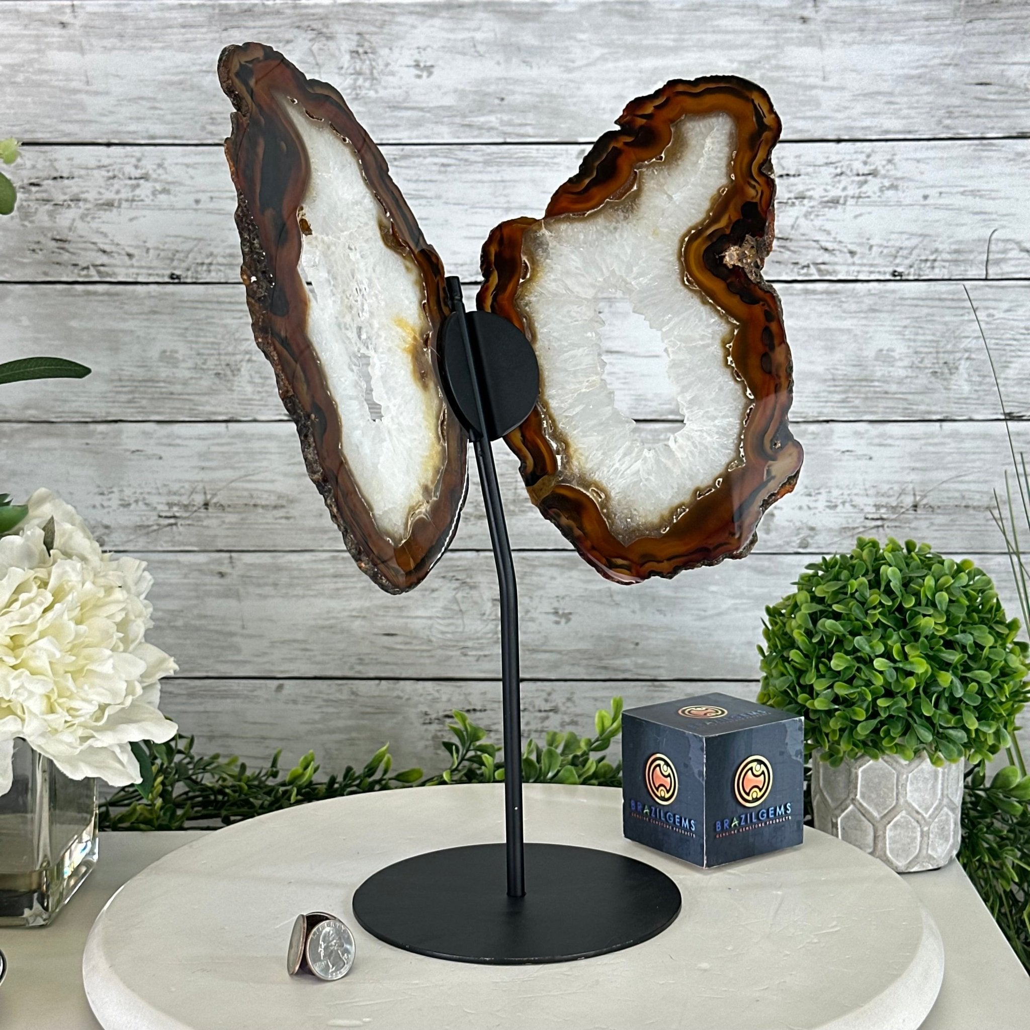 Natural Brazilian Agate "Butterfly Wings", 15" Tall #5050NA-083 - Brazil GemsBrazil GemsNatural Brazilian Agate "Butterfly Wings", 15" Tall #5050NA-083Agate Butterfly Wings5050NA-083
