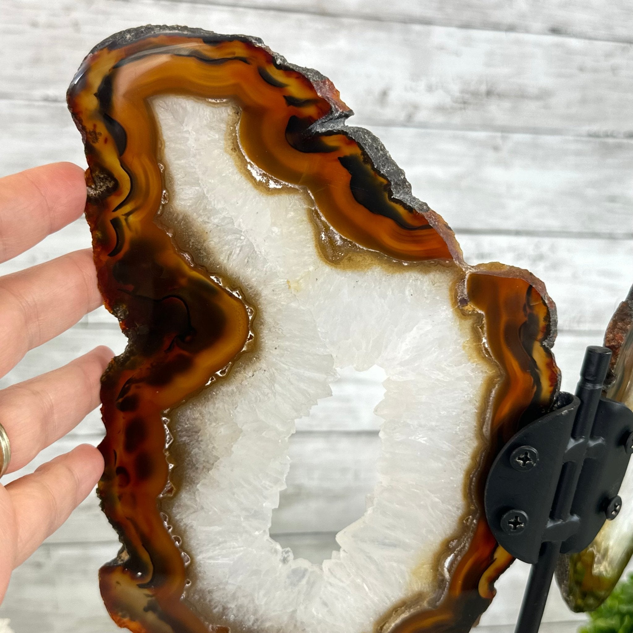 Natural Brazilian Agate "Butterfly Wings", 15" Tall #5050NA-083 - Brazil GemsBrazil GemsNatural Brazilian Agate "Butterfly Wings", 15" Tall #5050NA-083Agate Butterfly Wings5050NA-083