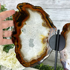 Natural Brazilian Agate "Butterfly Wings", 15" Tall #5050NA-083 - Brazil GemsBrazil GemsNatural Brazilian Agate "Butterfly Wings", 15" Tall #5050NA-083Agate Butterfly Wings5050NA-083