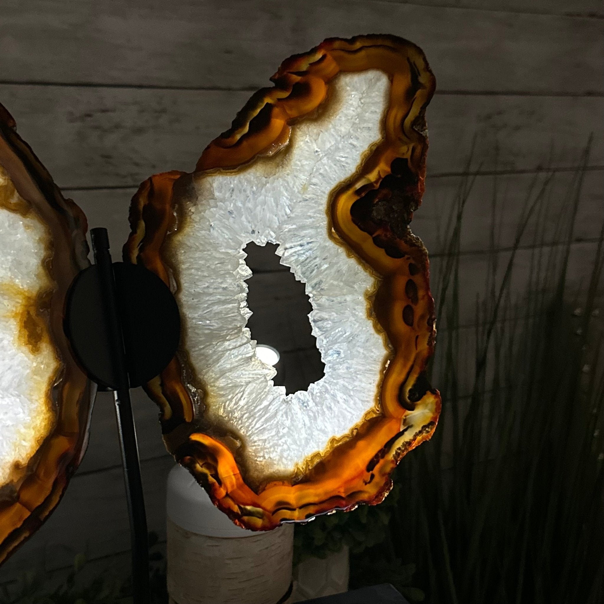 Natural Brazilian Agate "Butterfly Wings", 15" Tall #5050NA-083 - Brazil GemsBrazil GemsNatural Brazilian Agate "Butterfly Wings", 15" Tall #5050NA-083Agate Butterfly Wings5050NA-083