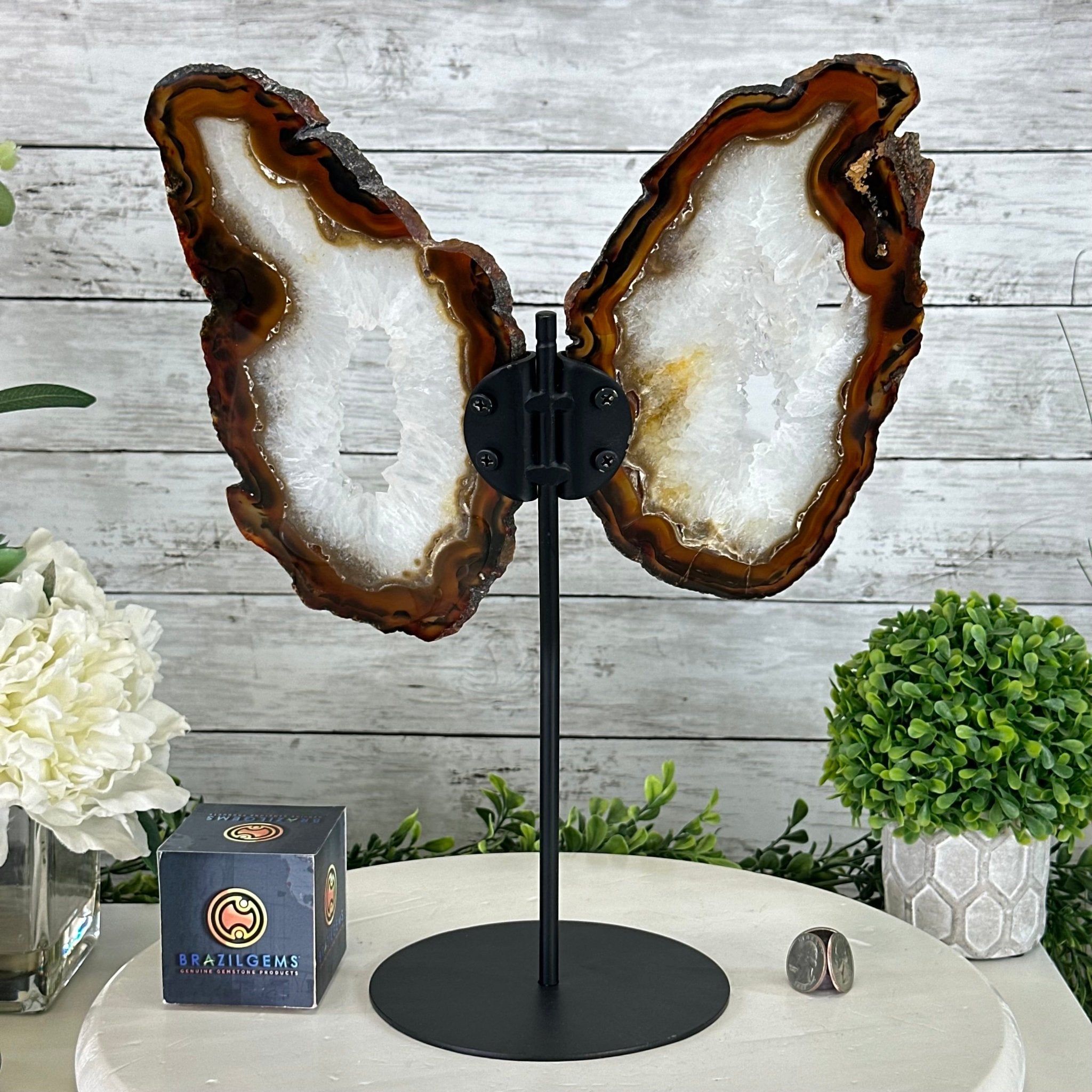 Natural Brazilian Agate "Butterfly Wings", 15" Tall #5050NA-083 - Brazil GemsBrazil GemsNatural Brazilian Agate "Butterfly Wings", 15" Tall #5050NA-083Agate Butterfly Wings5050NA-083