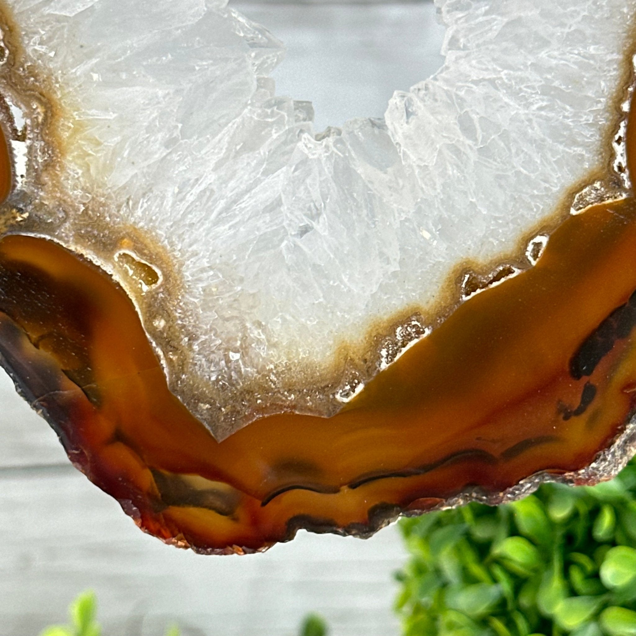 Natural Brazilian Agate "Butterfly Wings", 15" Tall #5050NA-083 - Brazil GemsBrazil GemsNatural Brazilian Agate "Butterfly Wings", 15" Tall #5050NA-083Agate Butterfly Wings5050NA-083