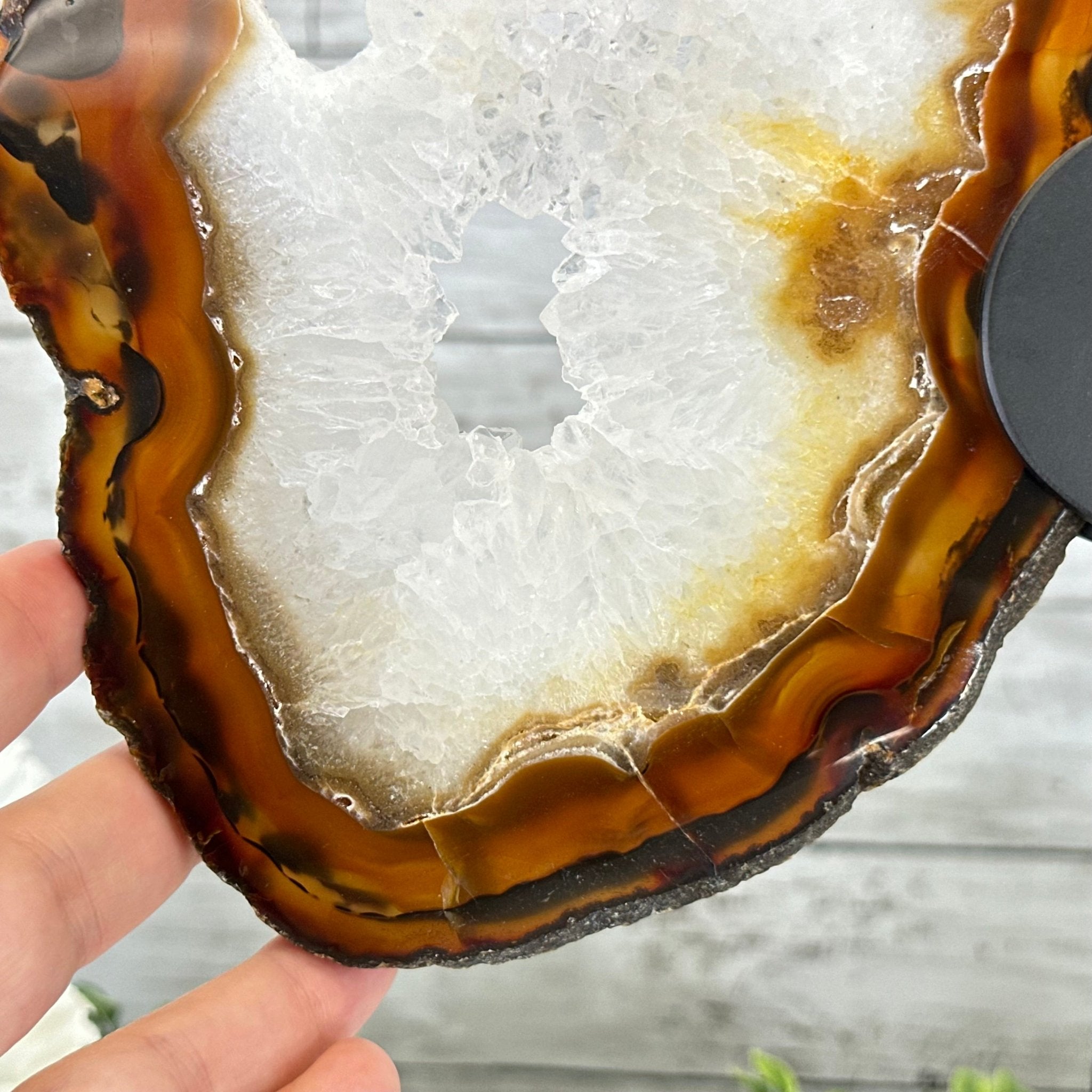 Natural Brazilian Agate "Butterfly Wings", 15" Tall #5050NA-083 - Brazil GemsBrazil GemsNatural Brazilian Agate "Butterfly Wings", 15" Tall #5050NA-083Agate Butterfly Wings5050NA-083