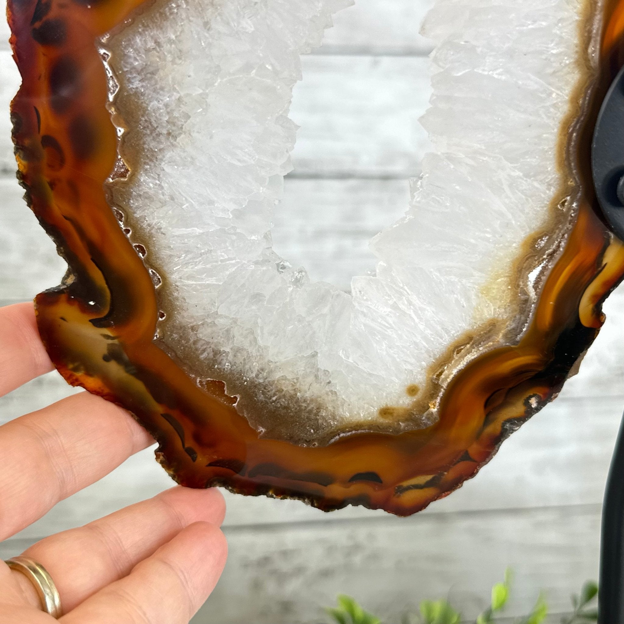 Natural Brazilian Agate "Butterfly Wings", 15" Tall #5050NA-083 - Brazil GemsBrazil GemsNatural Brazilian Agate "Butterfly Wings", 15" Tall #5050NA-083Agate Butterfly Wings5050NA-083