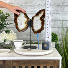 Natural Brazilian Agate "Butterfly Wings", 15" Tall #5050NA-083 - Brazil GemsBrazil GemsNatural Brazilian Agate "Butterfly Wings", 15" Tall #5050NA-083Agate Butterfly Wings5050NA-083