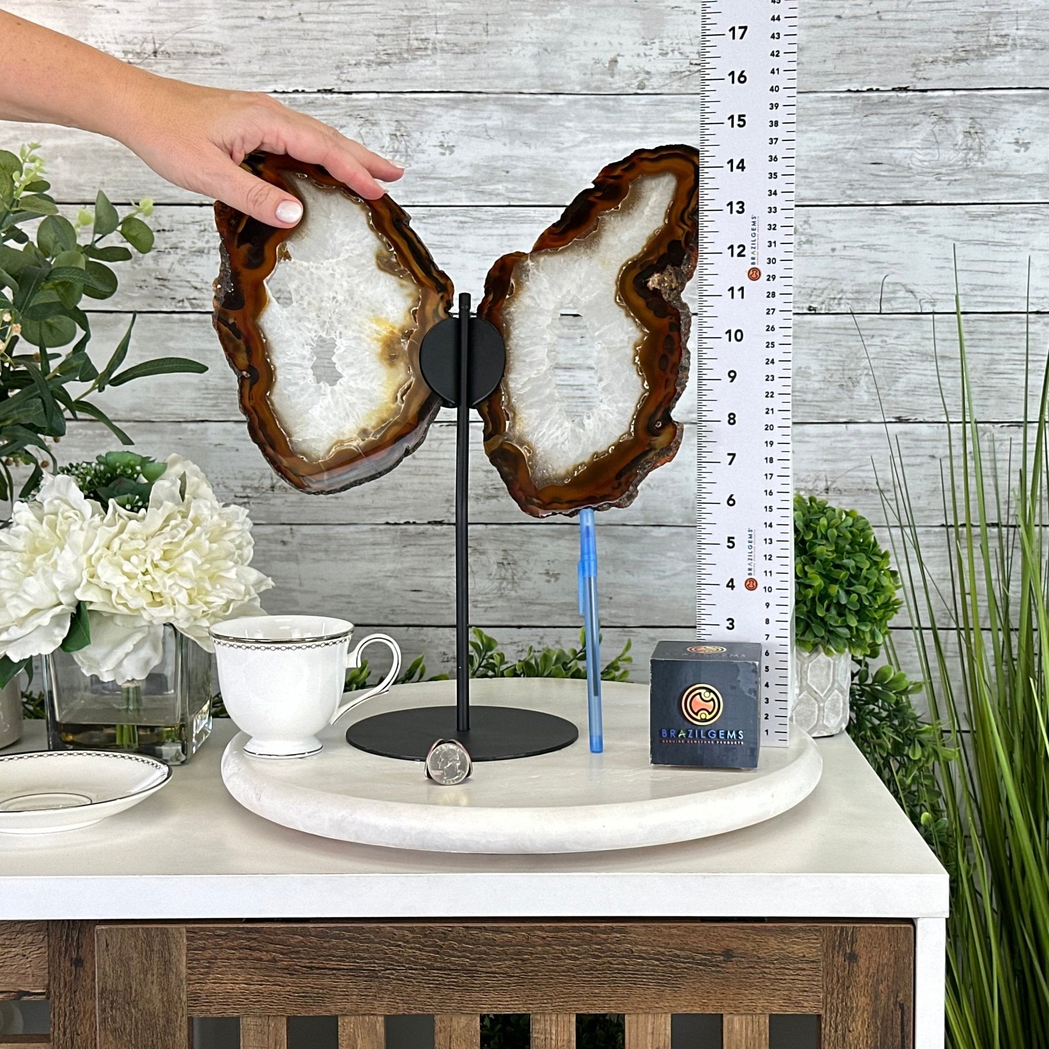 Natural Brazilian Agate "Butterfly Wings", 15" Tall #5050NA-083 - Brazil GemsBrazil GemsNatural Brazilian Agate "Butterfly Wings", 15" Tall #5050NA-083Agate Butterfly Wings5050NA-083