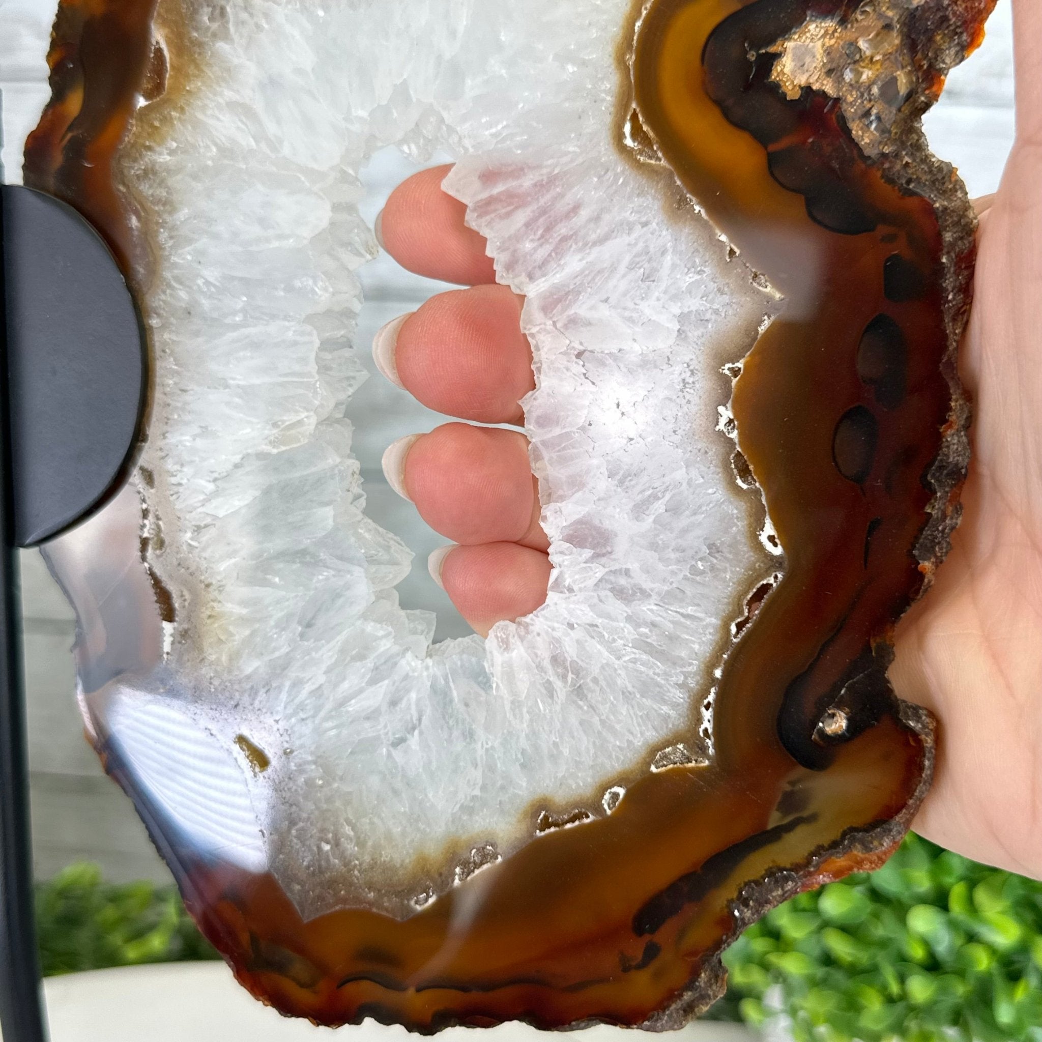 Natural Brazilian Agate "Butterfly Wings", 15" Tall #5050NA-083 - Brazil GemsBrazil GemsNatural Brazilian Agate "Butterfly Wings", 15" Tall #5050NA-083Agate Butterfly Wings5050NA-083