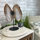Natural Brazilian Agate "Butterfly Wings", 15" Tall #5050NA-085 - Brazil GemsBrazil GemsNatural Brazilian Agate "Butterfly Wings", 15" Tall #5050NA-085Agate Butterfly Wings5050NA-085