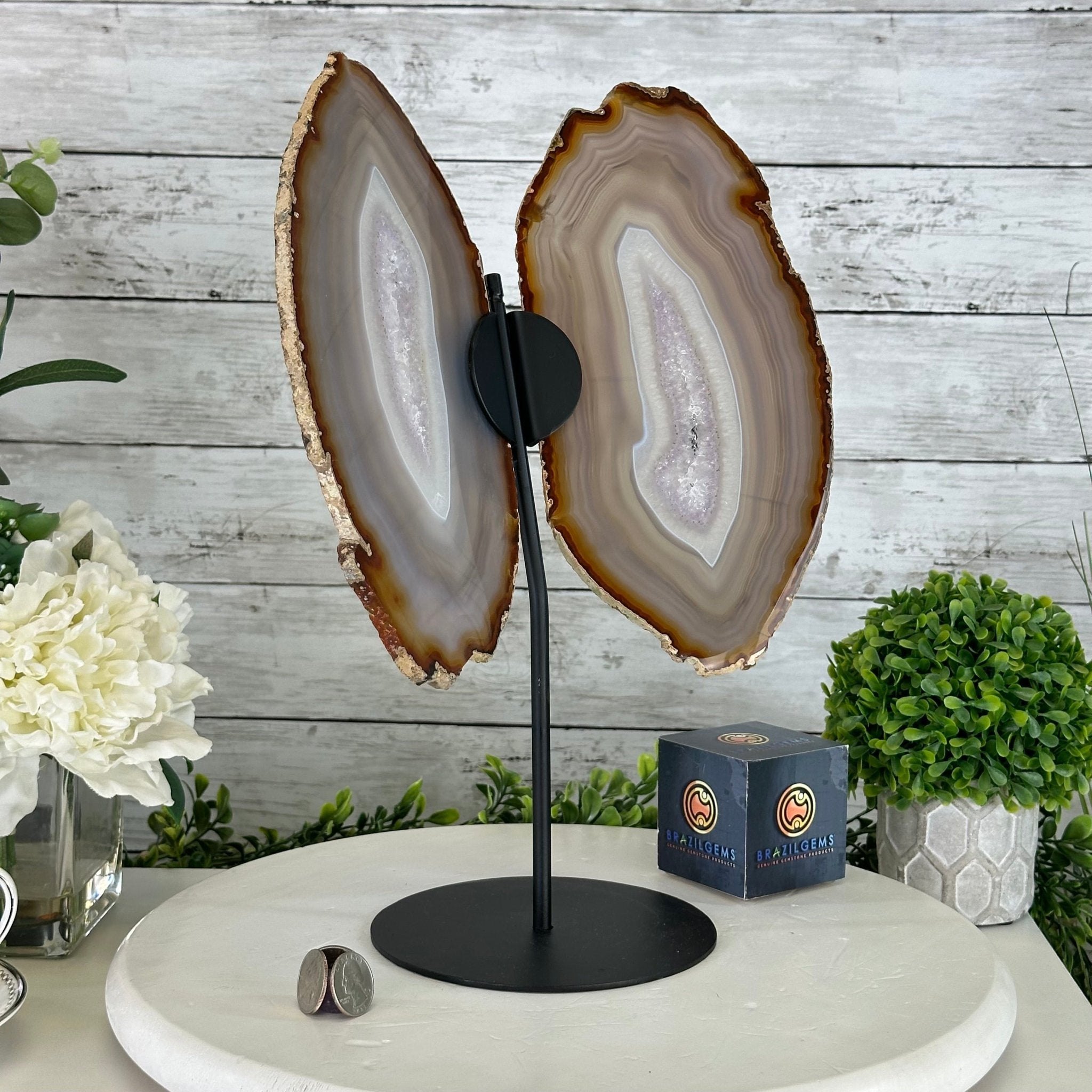 Natural Brazilian Agate "Butterfly Wings", 15" Tall #5050NA-085 - Brazil GemsBrazil GemsNatural Brazilian Agate "Butterfly Wings", 15" Tall #5050NA-085Agate Butterfly Wings5050NA-085