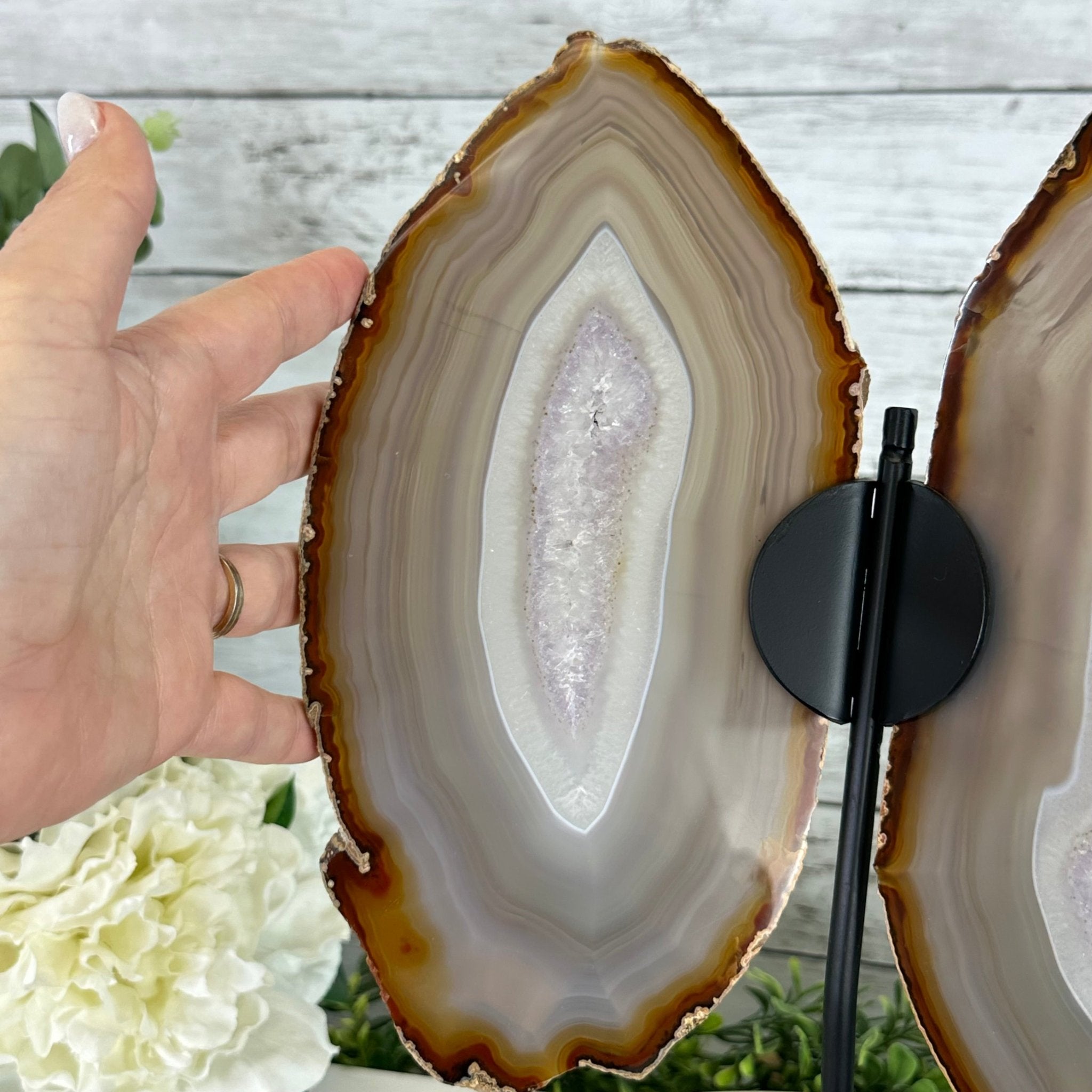 Natural Brazilian Agate "Butterfly Wings", 15" Tall #5050NA-085 - Brazil GemsBrazil GemsNatural Brazilian Agate "Butterfly Wings", 15" Tall #5050NA-085Agate Butterfly Wings5050NA-085