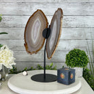 Natural Brazilian Agate "Butterfly Wings", 15" Tall #5050NA-085 - Brazil GemsBrazil GemsNatural Brazilian Agate "Butterfly Wings", 15" Tall #5050NA-085Agate Butterfly Wings5050NA-085