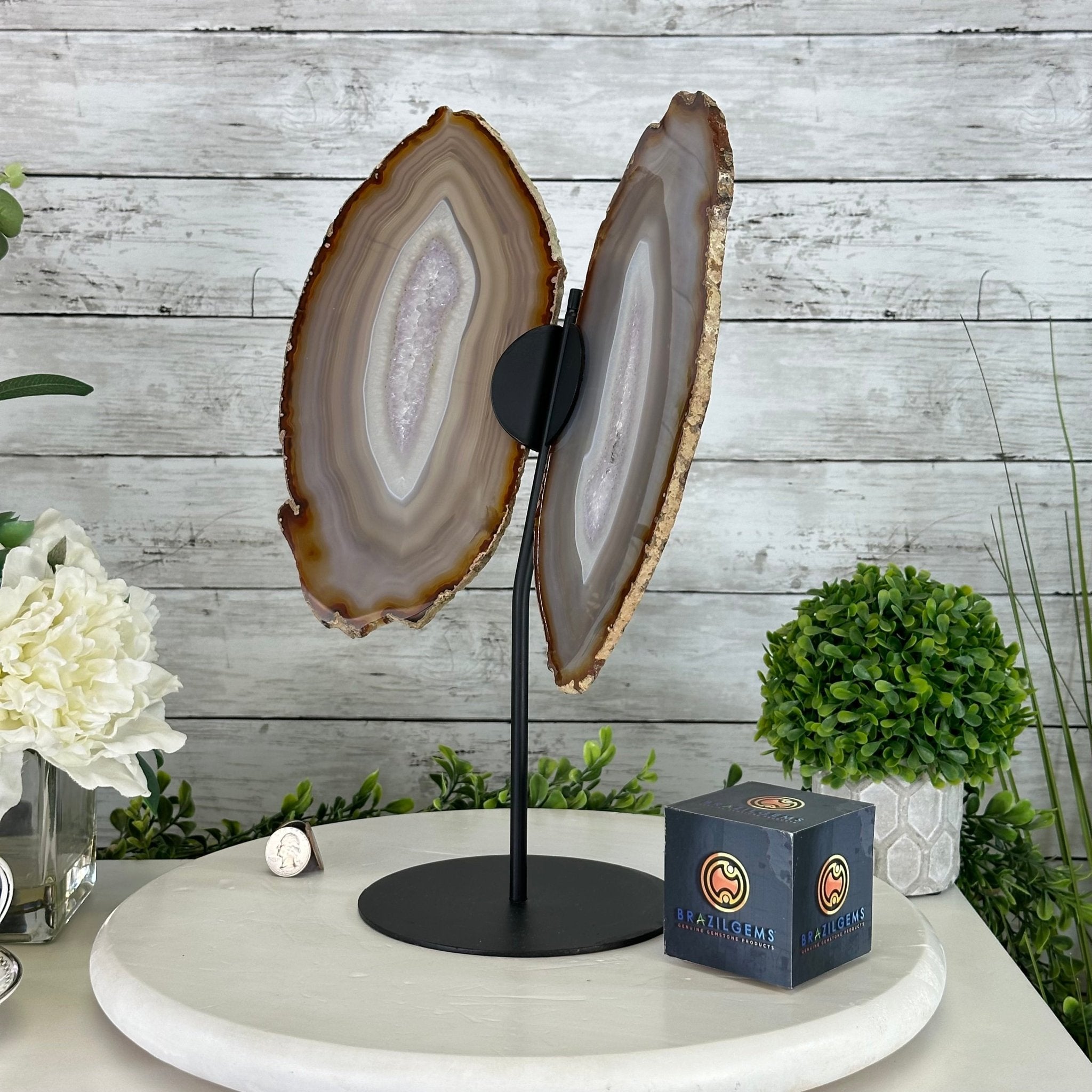 Natural Brazilian Agate "Butterfly Wings", 15" Tall #5050NA-085 - Brazil GemsBrazil GemsNatural Brazilian Agate "Butterfly Wings", 15" Tall #5050NA-085Agate Butterfly Wings5050NA-085