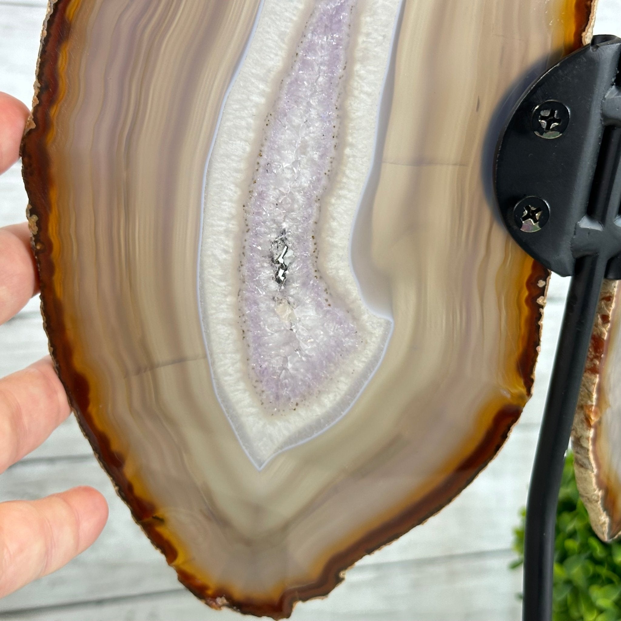 Natural Brazilian Agate "Butterfly Wings", 15" Tall #5050NA-085 - Brazil GemsBrazil GemsNatural Brazilian Agate "Butterfly Wings", 15" Tall #5050NA-085Agate Butterfly Wings5050NA-085
