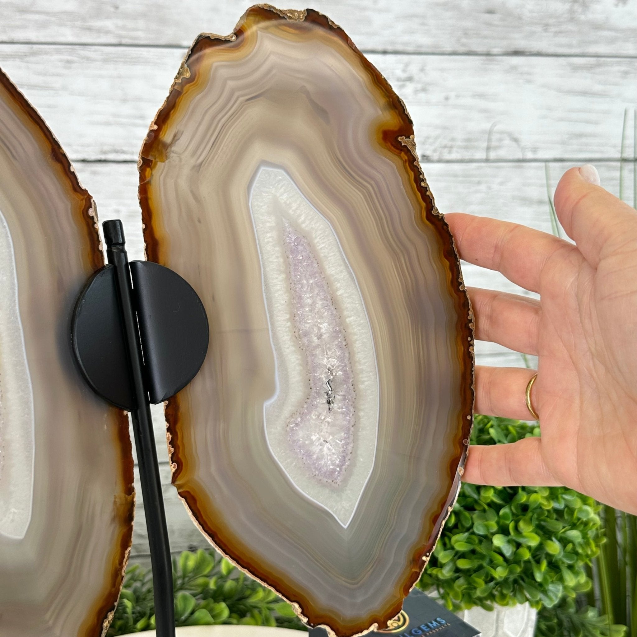 Natural Brazilian Agate "Butterfly Wings", 15" Tall #5050NA-085 - Brazil GemsBrazil GemsNatural Brazilian Agate "Butterfly Wings", 15" Tall #5050NA-085Agate Butterfly Wings5050NA-085