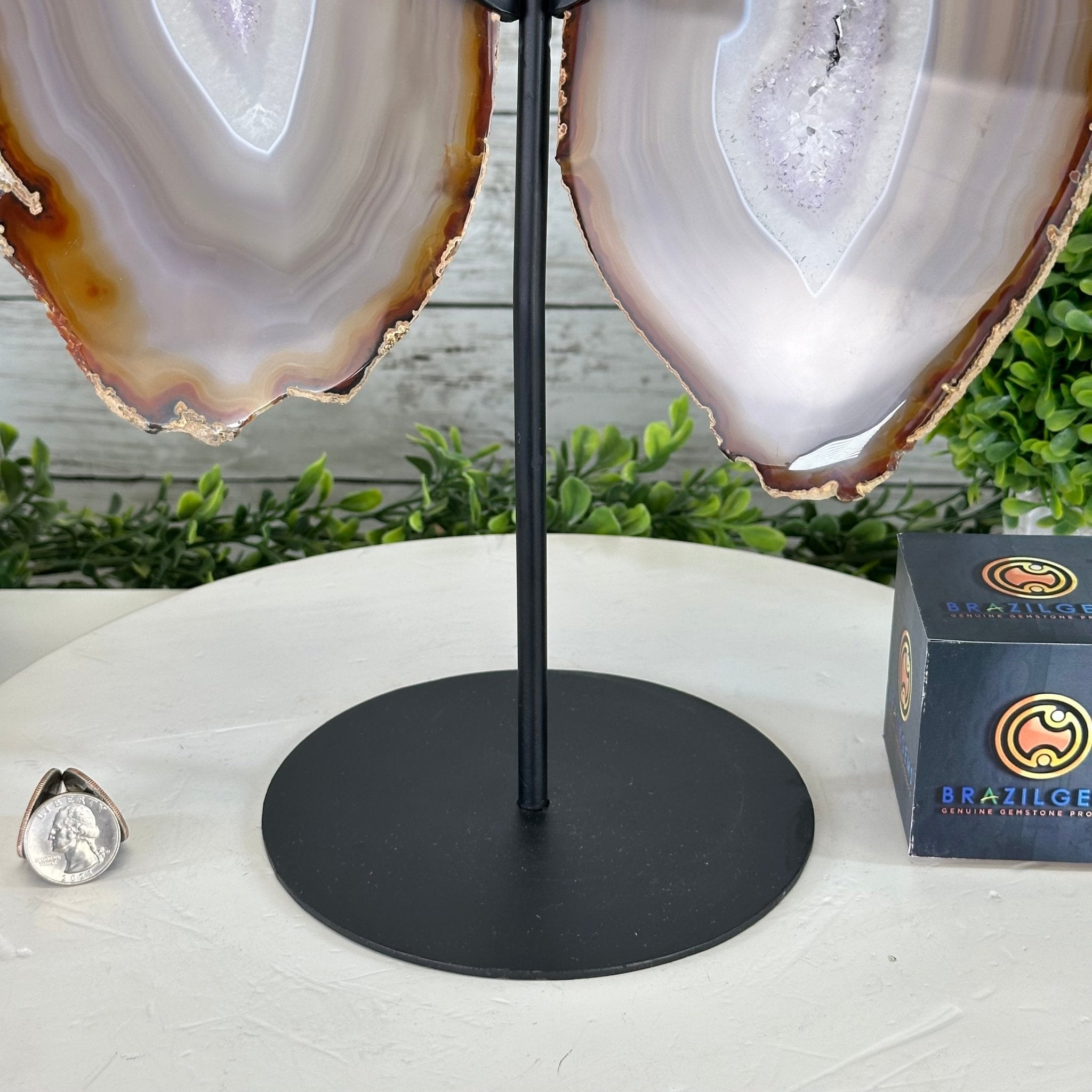 Natural Brazilian Agate "Butterfly Wings", 15" Tall #5050NA-085 - Brazil GemsBrazil GemsNatural Brazilian Agate "Butterfly Wings", 15" Tall #5050NA-085Agate Butterfly Wings5050NA-085