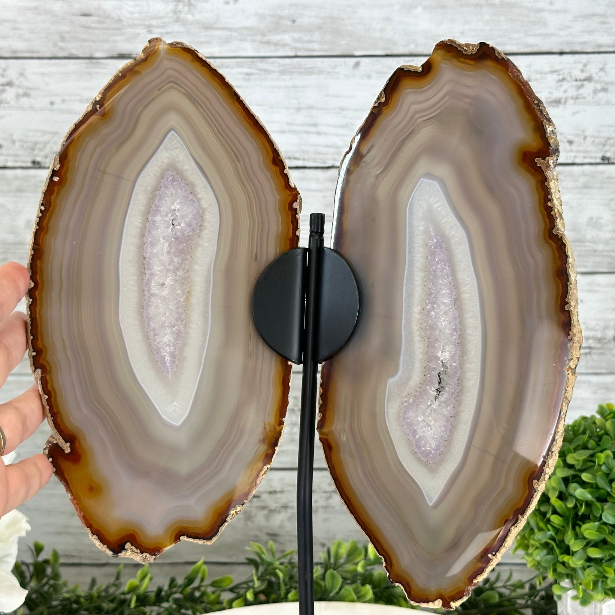 Natural Brazilian Agate "Butterfly Wings", 15" Tall #5050NA-085 - Brazil GemsBrazil GemsNatural Brazilian Agate "Butterfly Wings", 15" Tall #5050NA-085Agate Butterfly Wings5050NA-085