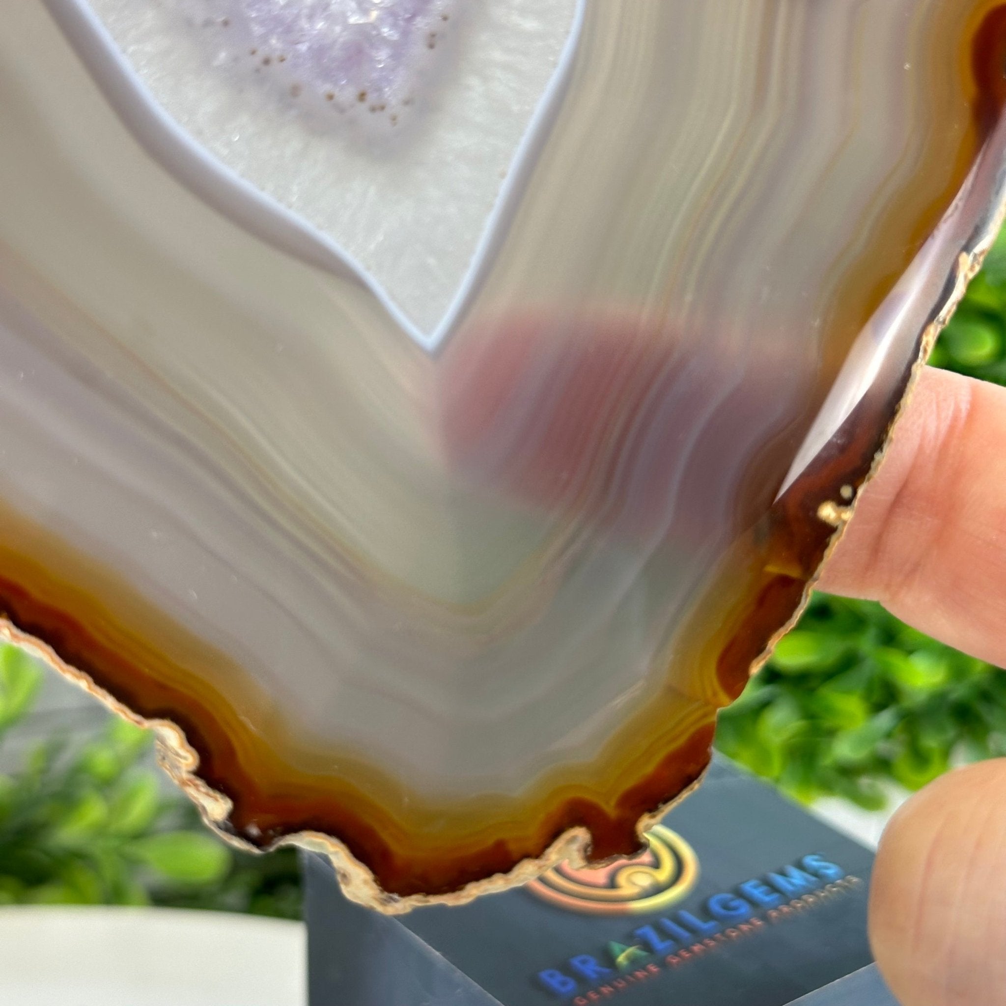Natural Brazilian Agate "Butterfly Wings", 15" Tall #5050NA-085 - Brazil GemsBrazil GemsNatural Brazilian Agate "Butterfly Wings", 15" Tall #5050NA-085Agate Butterfly Wings5050NA-085