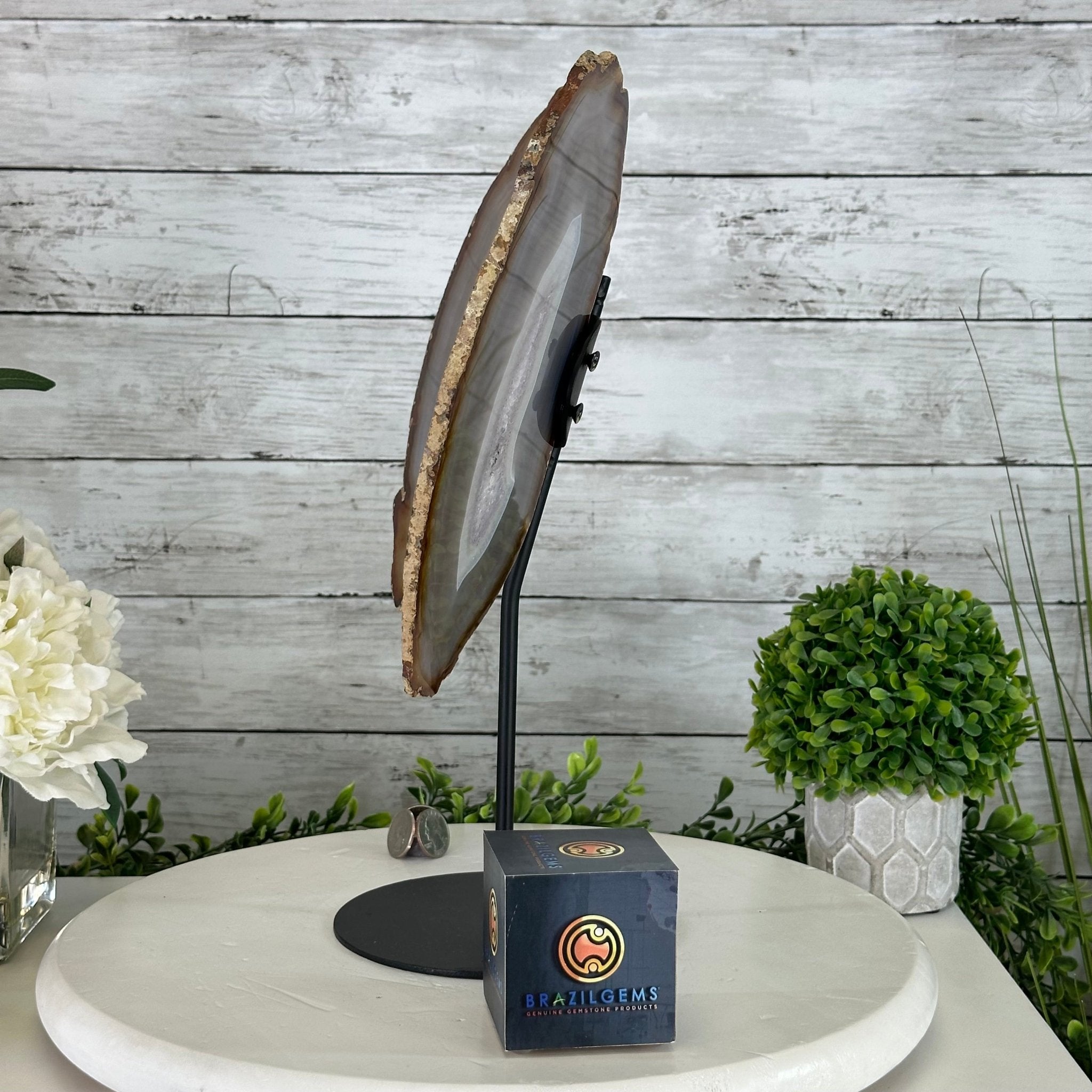 Natural Brazilian Agate "Butterfly Wings", 15" Tall #5050NA-085 - Brazil GemsBrazil GemsNatural Brazilian Agate "Butterfly Wings", 15" Tall #5050NA-085Agate Butterfly Wings5050NA-085
