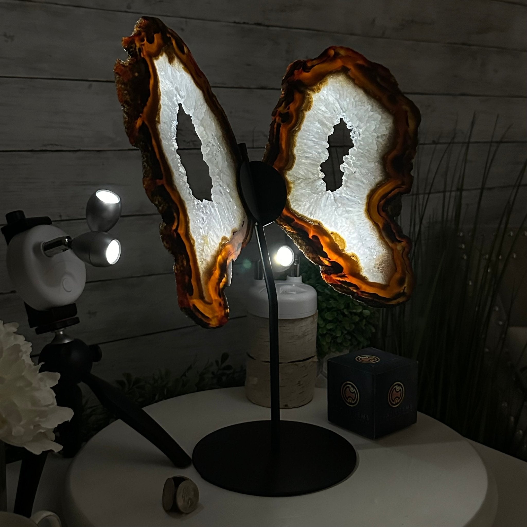 Natural Brazilian Agate "Butterfly Wings", 15" Tall #5050NA-086 - Brazil GemsBrazil GemsNatural Brazilian Agate "Butterfly Wings", 15" Tall #5050NA-086Agate Butterfly Wings5050NA-086