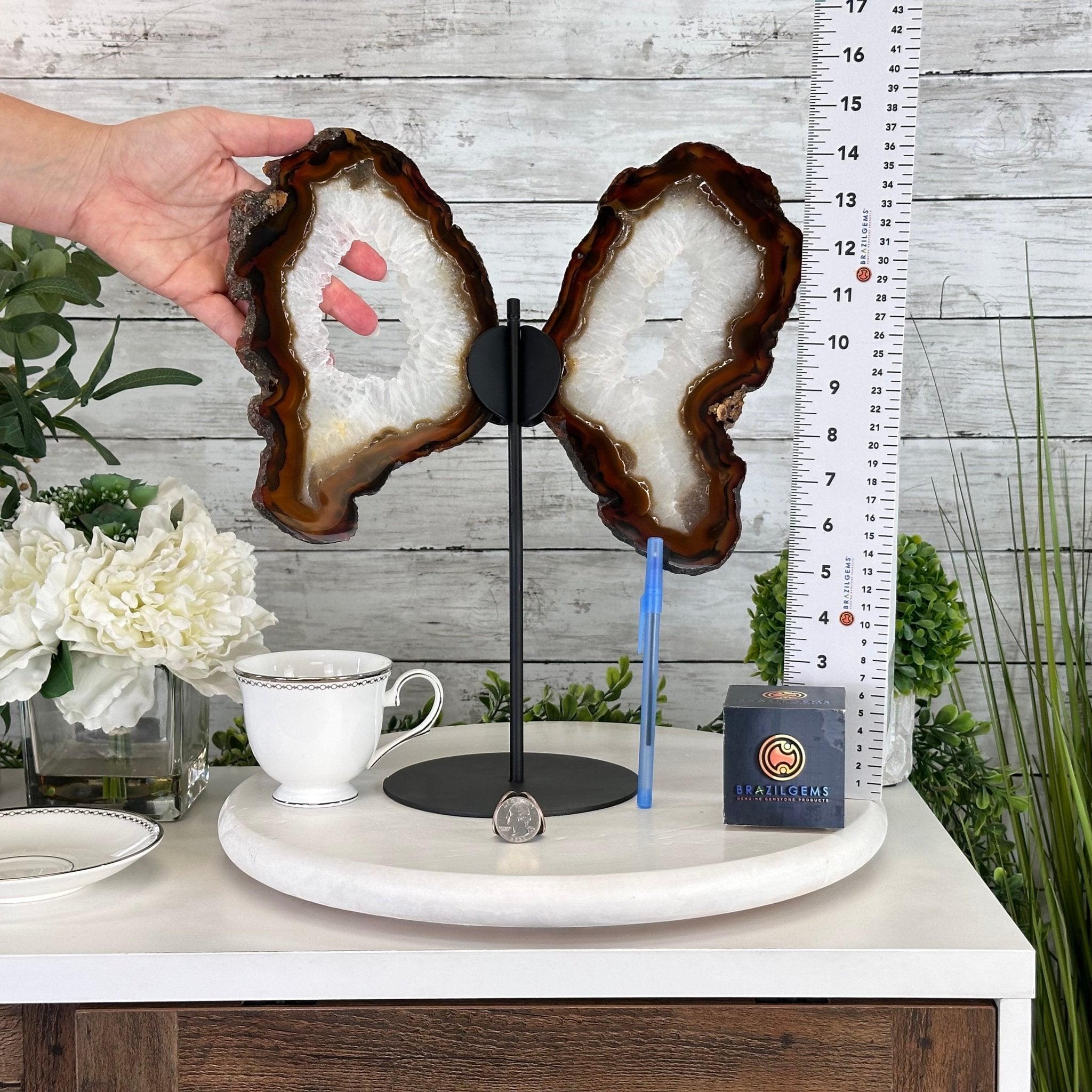 Natural Brazilian Agate "Butterfly Wings", 15" Tall #5050NA-086 - Brazil GemsBrazil GemsNatural Brazilian Agate "Butterfly Wings", 15" Tall #5050NA-086Agate Butterfly Wings5050NA-086