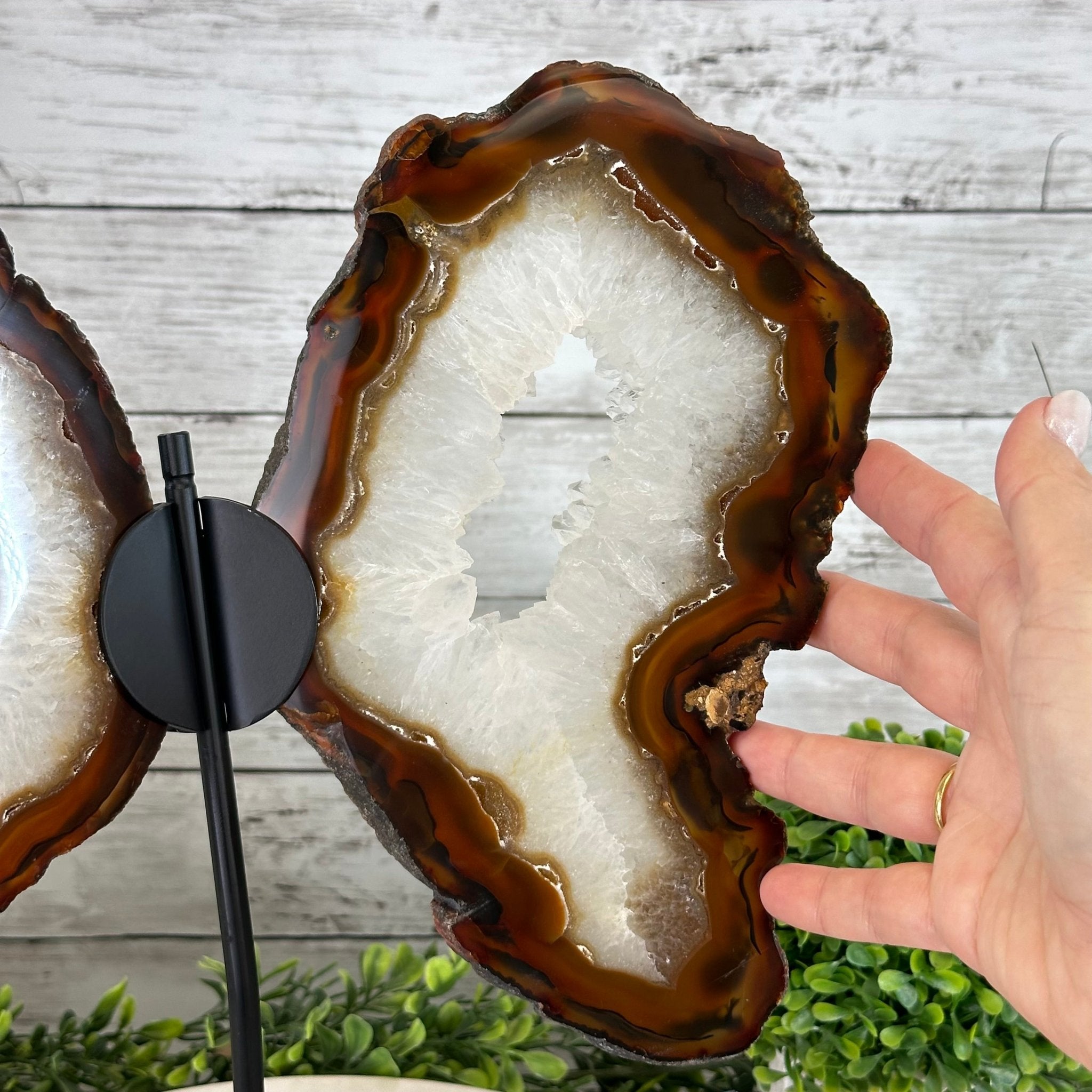 Natural Brazilian Agate "Butterfly Wings", 15" Tall #5050NA-086 - Brazil GemsBrazil GemsNatural Brazilian Agate "Butterfly Wings", 15" Tall #5050NA-086Agate Butterfly Wings5050NA-086