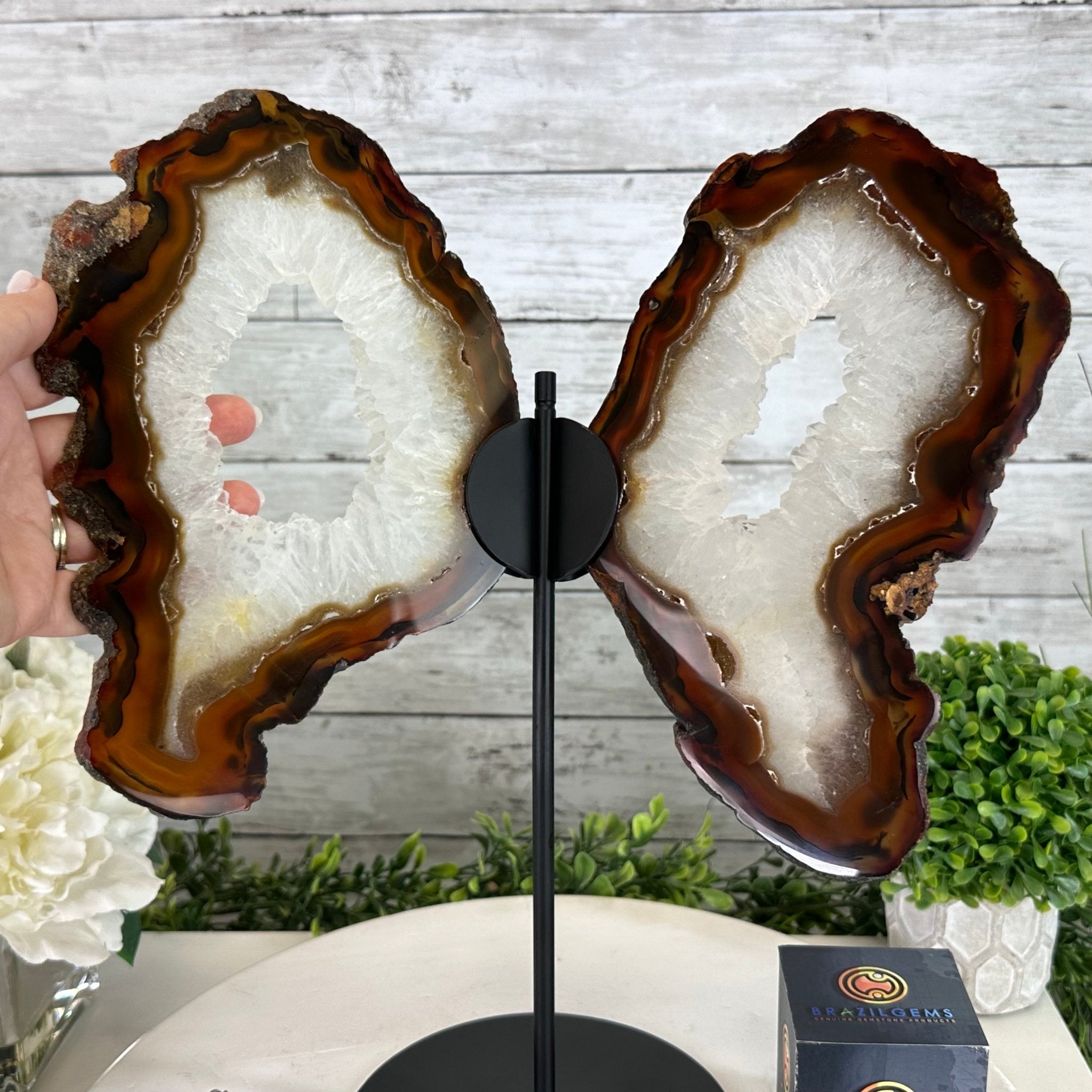 Natural Brazilian Agate "Butterfly Wings", 15" Tall #5050NA-086 - Brazil GemsBrazil GemsNatural Brazilian Agate "Butterfly Wings", 15" Tall #5050NA-086Agate Butterfly Wings5050NA-086
