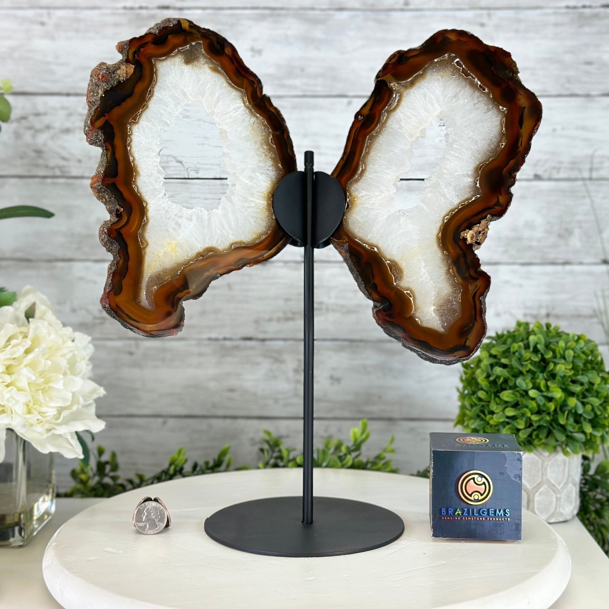 Natural Brazilian Agate "Butterfly Wings", 15" Tall #5050NA-086 - Brazil GemsBrazil GemsNatural Brazilian Agate "Butterfly Wings", 15" Tall #5050NA-086Agate Butterfly Wings5050NA-086
