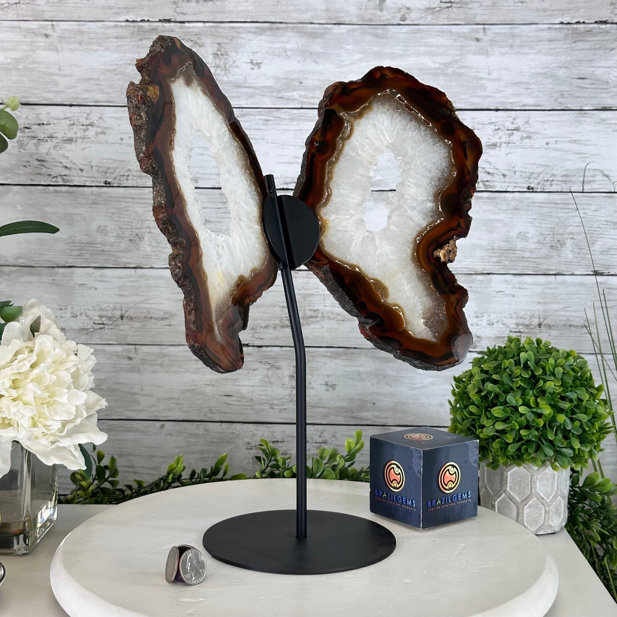 Natural Brazilian Agate "Butterfly Wings", 15" Tall #5050NA-086 - Brazil GemsBrazil GemsNatural Brazilian Agate "Butterfly Wings", 15" Tall #5050NA-086Agate Butterfly Wings5050NA-086