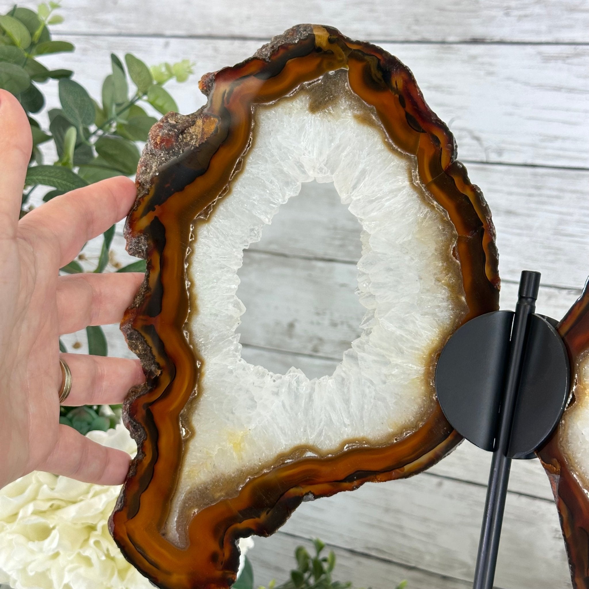 Natural Brazilian Agate "Butterfly Wings", 15" Tall #5050NA-086 - Brazil GemsBrazil GemsNatural Brazilian Agate "Butterfly Wings", 15" Tall #5050NA-086Agate Butterfly Wings5050NA-086
