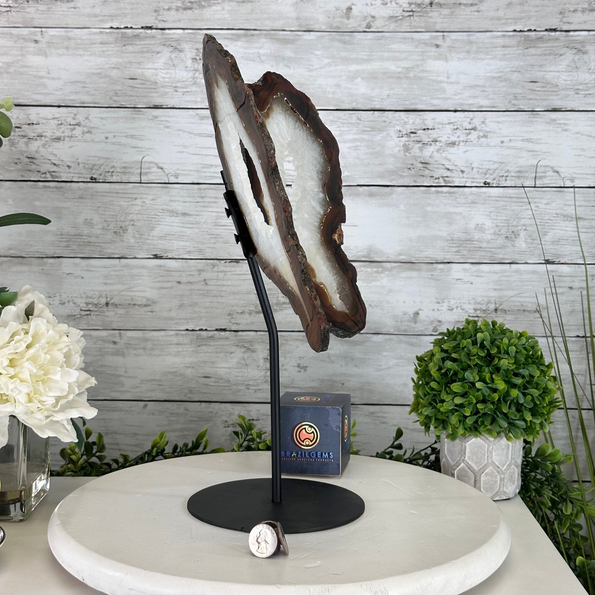 Natural Brazilian Agate "Butterfly Wings", 15" Tall #5050NA-086 - Brazil GemsBrazil GemsNatural Brazilian Agate "Butterfly Wings", 15" Tall #5050NA-086Agate Butterfly Wings5050NA-086