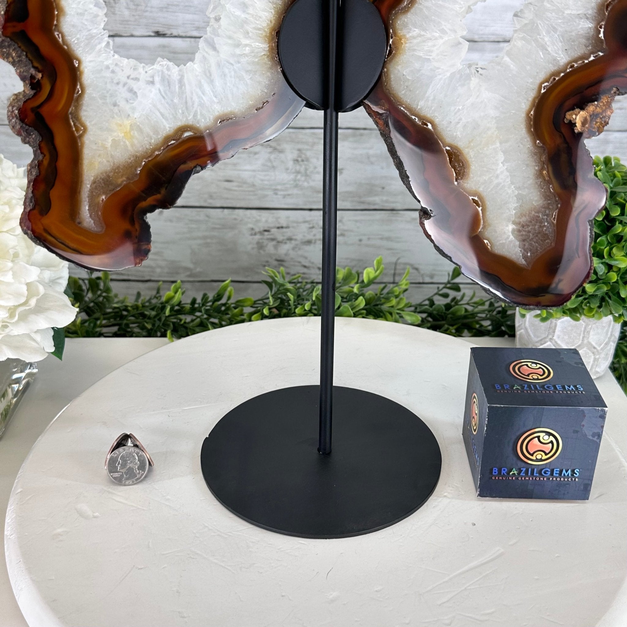 Natural Brazilian Agate "Butterfly Wings", 15" Tall #5050NA-086 - Brazil GemsBrazil GemsNatural Brazilian Agate "Butterfly Wings", 15" Tall #5050NA-086Agate Butterfly Wings5050NA-086