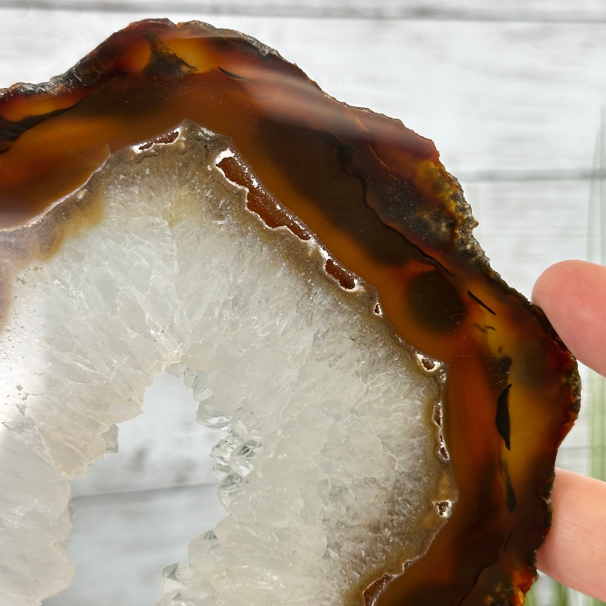 Natural Brazilian Agate "Butterfly Wings", 15" Tall #5050NA-086 - Brazil GemsBrazil GemsNatural Brazilian Agate "Butterfly Wings", 15" Tall #5050NA-086Agate Butterfly Wings5050NA-086