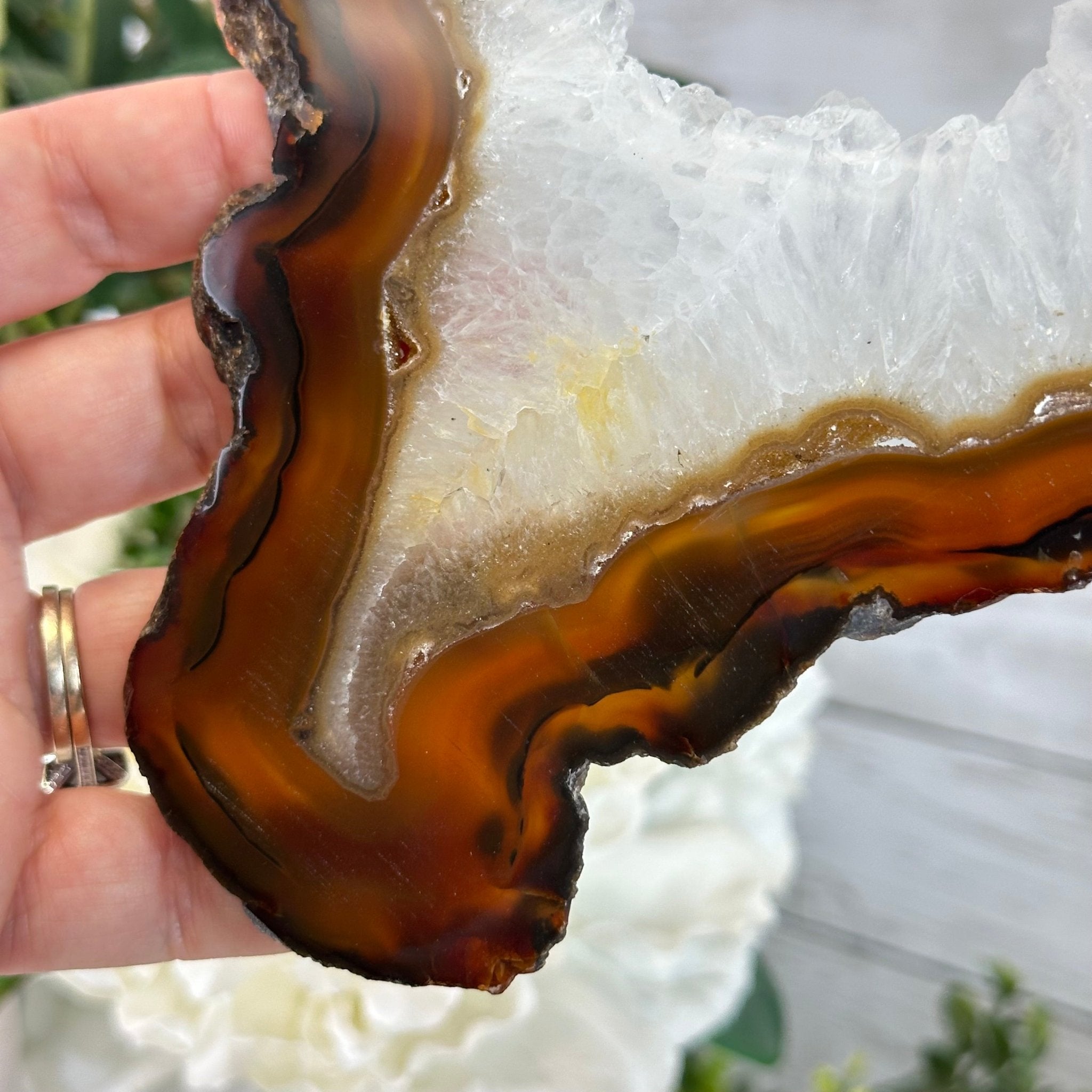 Natural Brazilian Agate "Butterfly Wings", 15" Tall #5050NA-086 - Brazil GemsBrazil GemsNatural Brazilian Agate "Butterfly Wings", 15" Tall #5050NA-086Agate Butterfly Wings5050NA-086