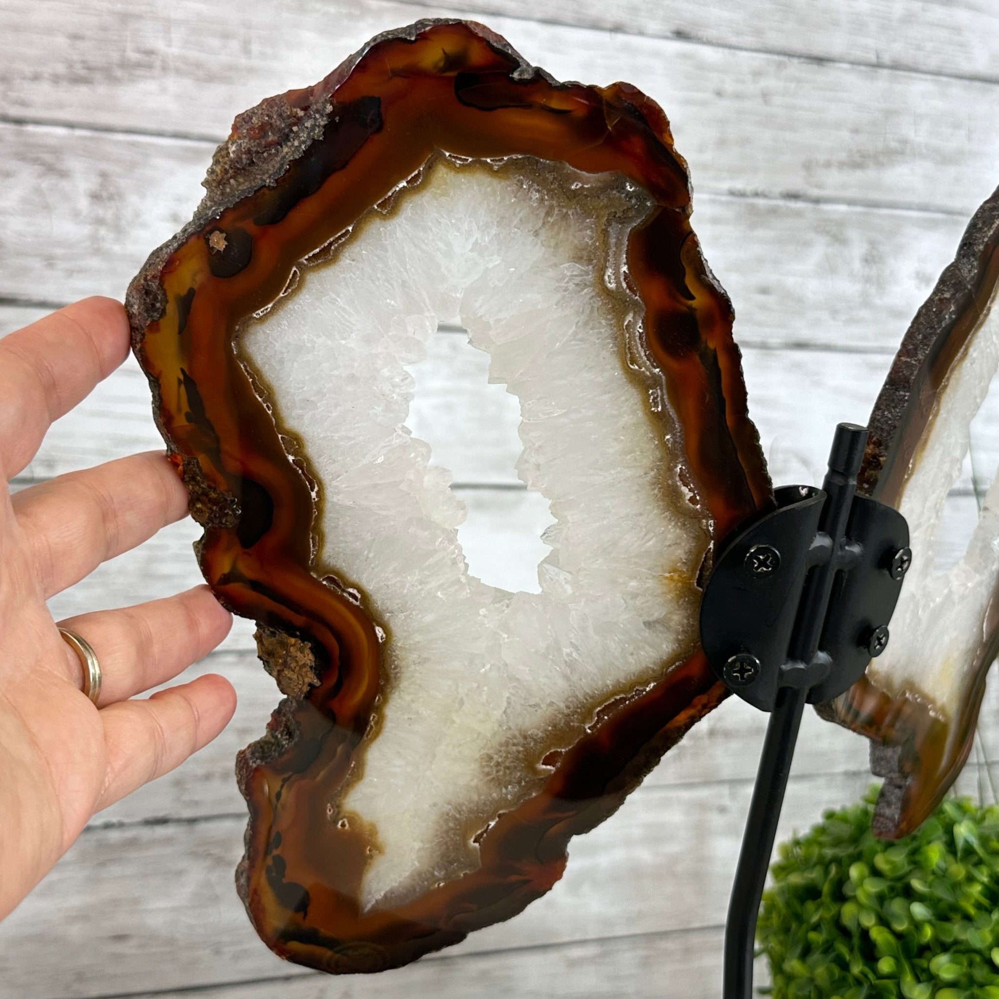 Natural Brazilian Agate "Butterfly Wings", 15" Tall #5050NA-086 - Brazil GemsBrazil GemsNatural Brazilian Agate "Butterfly Wings", 15" Tall #5050NA-086Agate Butterfly Wings5050NA-086