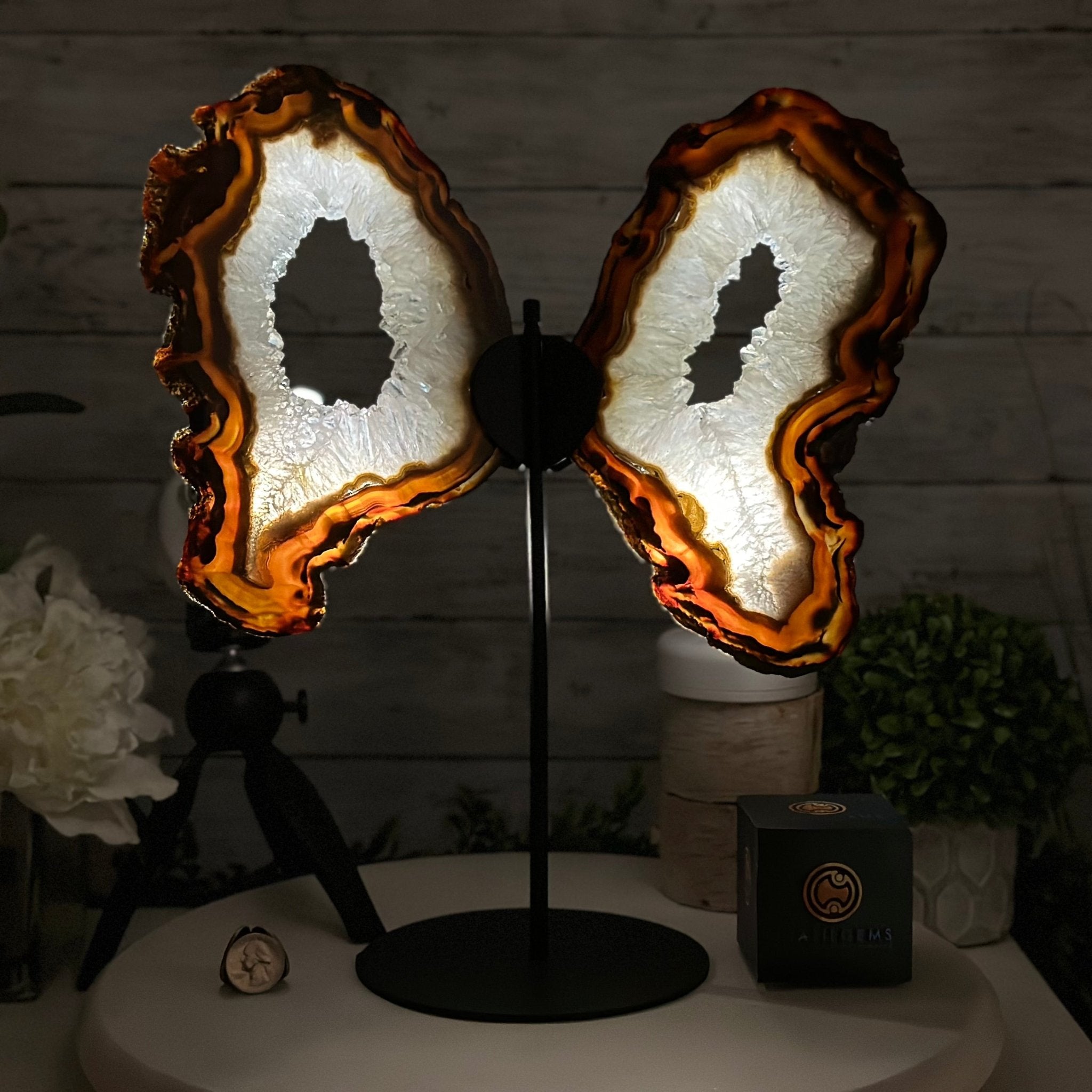 Natural Brazilian Agate "Butterfly Wings", 15" Tall #5050NA-086 - Brazil GemsBrazil GemsNatural Brazilian Agate "Butterfly Wings", 15" Tall #5050NA-086Agate Butterfly Wings5050NA-086