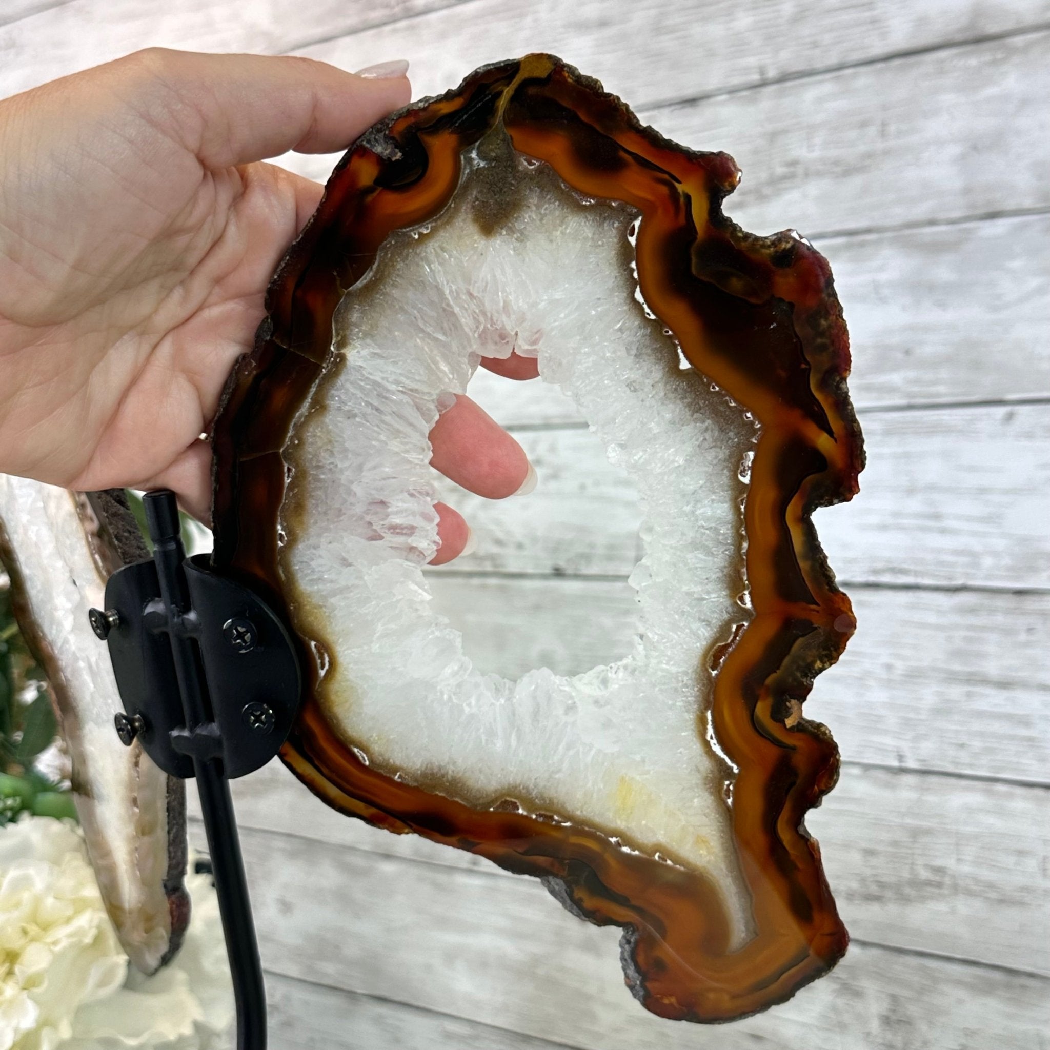 Natural Brazilian Agate "Butterfly Wings", 15" Tall #5050NA-086 - Brazil GemsBrazil GemsNatural Brazilian Agate "Butterfly Wings", 15" Tall #5050NA-086Agate Butterfly Wings5050NA-086