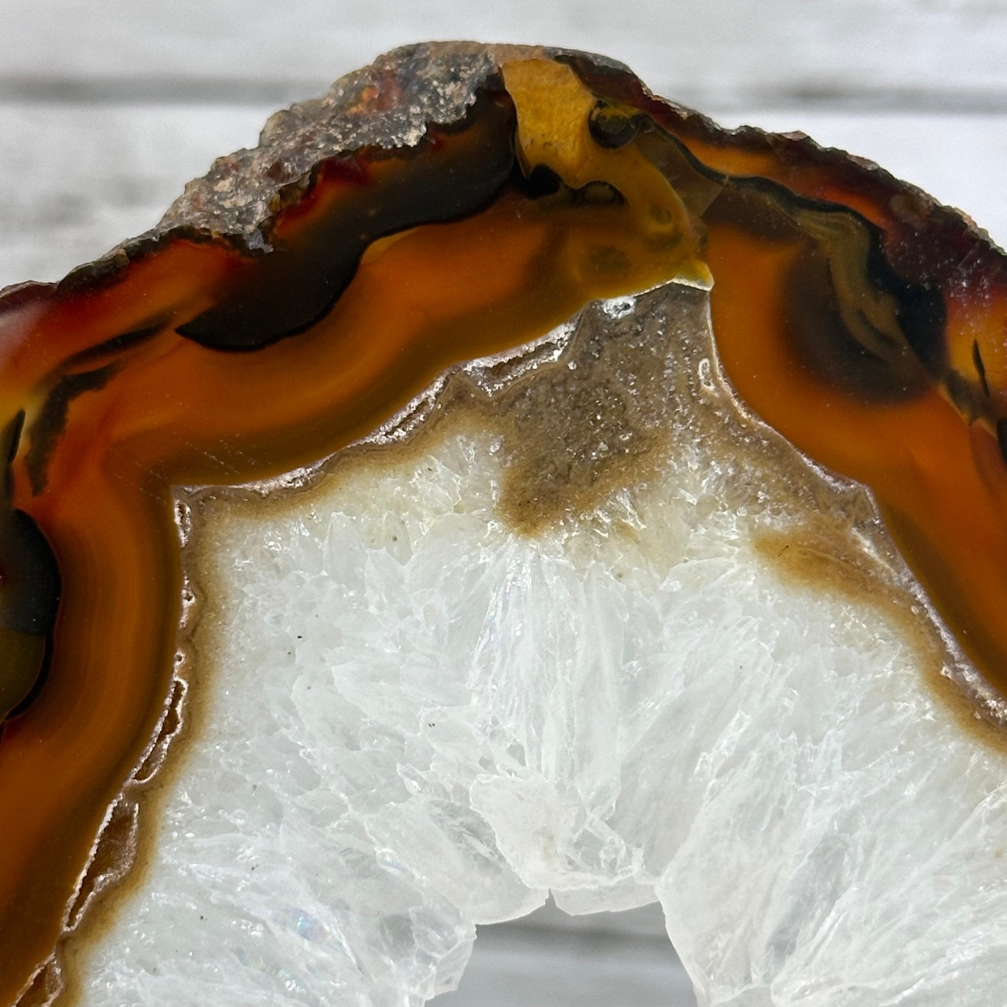 Natural Brazilian Agate "Butterfly Wings", 15" Tall #5050NA-086 - Brazil GemsBrazil GemsNatural Brazilian Agate "Butterfly Wings", 15" Tall #5050NA-086Agate Butterfly Wings5050NA-086