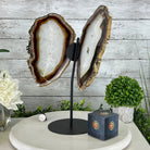 Natural Brazilian Agate "Butterfly Wings", 15" Tall #5050NA-098 - Brazil GemsBrazil GemsNatural Brazilian Agate "Butterfly Wings", 15" Tall #5050NA-098Agate Butterfly Wings5050NA-098