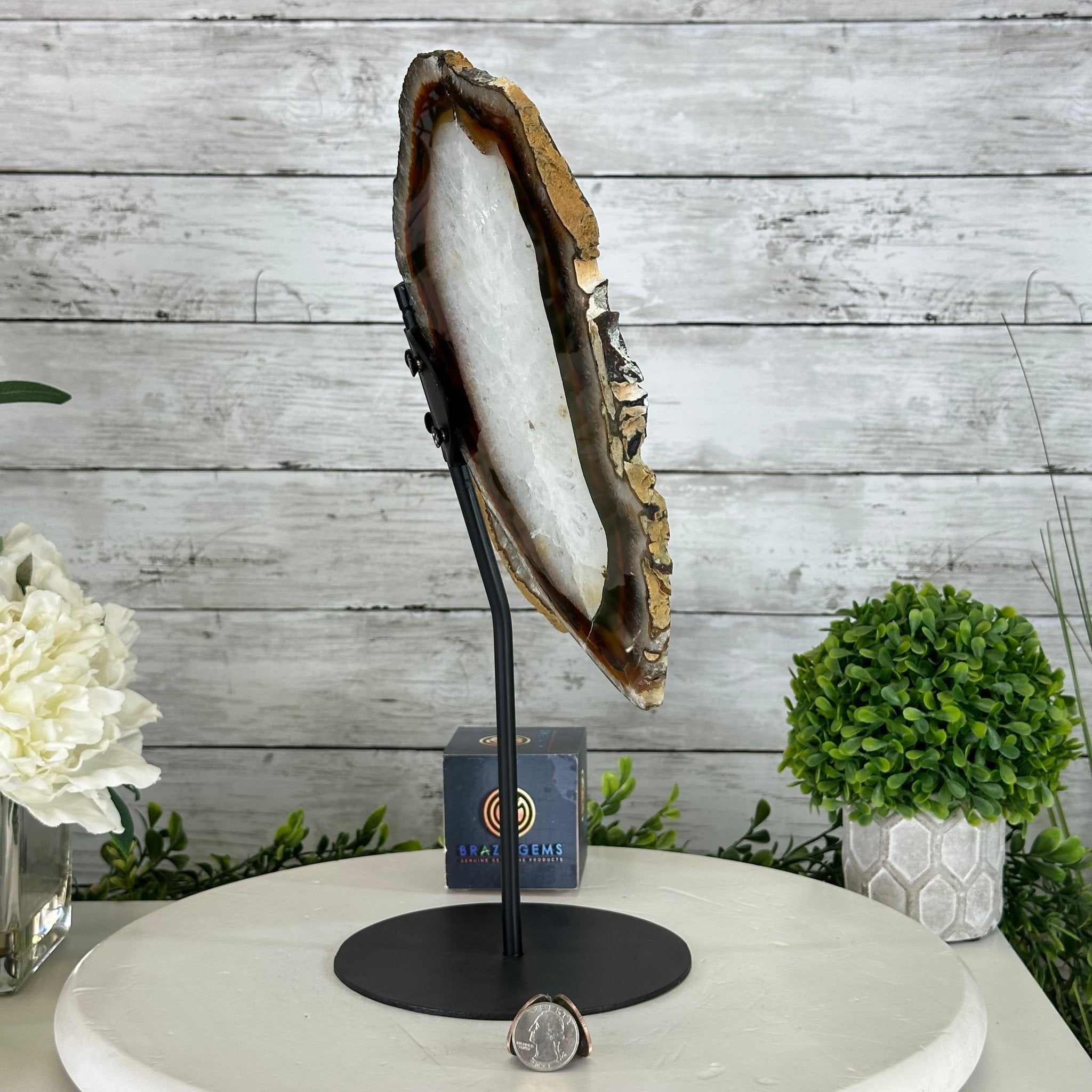 Natural Brazilian Agate "Butterfly Wings", 15" Tall #5050NA-098 - Brazil GemsBrazil GemsNatural Brazilian Agate "Butterfly Wings", 15" Tall #5050NA-098Agate Butterfly Wings5050NA-098