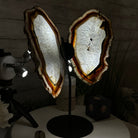 Natural Brazilian Agate "Butterfly Wings", 15" Tall #5050NA-098 - Brazil GemsBrazil GemsNatural Brazilian Agate "Butterfly Wings", 15" Tall #5050NA-098Agate Butterfly Wings5050NA-098