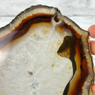 Natural Brazilian Agate "Butterfly Wings", 15" Tall #5050NA-098 - Brazil GemsBrazil GemsNatural Brazilian Agate "Butterfly Wings", 15" Tall #5050NA-098Agate Butterfly Wings5050NA-098