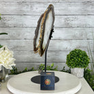 Natural Brazilian Agate "Butterfly Wings", 15" Tall #5050NA-098 - Brazil GemsBrazil GemsNatural Brazilian Agate "Butterfly Wings", 15" Tall #5050NA-098Agate Butterfly Wings5050NA-098