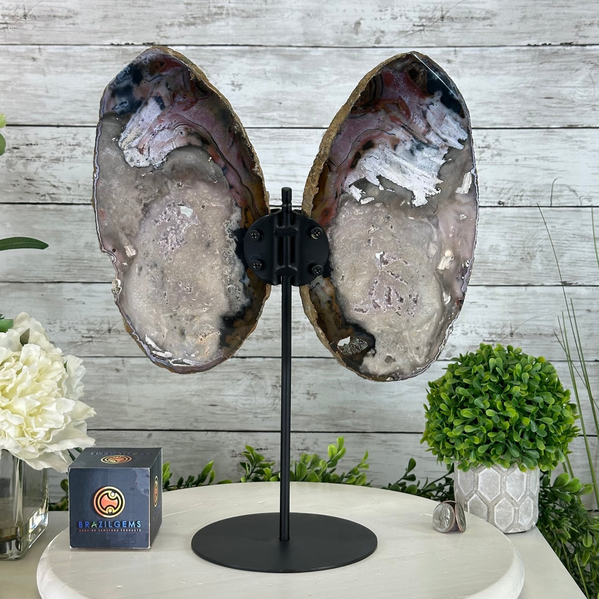 Natural Brazilian Agate "Butterfly Wings", 15.25" Tall #5050NA-097 - Brazil GemsBrazil GemsNatural Brazilian Agate "Butterfly Wings", 15.25" Tall #5050NA-097Agate Butterfly Wings5050NA-097