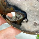 Natural Brazilian Agate "Butterfly Wings", 15.25" Tall #5050NA-097 - Brazil GemsBrazil GemsNatural Brazilian Agate "Butterfly Wings", 15.25" Tall #5050NA-097Agate Butterfly Wings5050NA-097