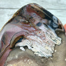 Natural Brazilian Agate "Butterfly Wings", 15.25" Tall #5050NA-097 - Brazil GemsBrazil GemsNatural Brazilian Agate "Butterfly Wings", 15.25" Tall #5050NA-097Agate Butterfly Wings5050NA-097