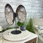 Natural Brazilian Agate "Butterfly Wings", 15.25" Tall #5050NA-097 - Brazil GemsBrazil GemsNatural Brazilian Agate "Butterfly Wings", 15.25" Tall #5050NA-097Agate Butterfly Wings5050NA-097