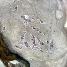 Natural Brazilian Agate "Butterfly Wings", 15.25" Tall #5050NA-097 - Brazil GemsBrazil GemsNatural Brazilian Agate "Butterfly Wings", 15.25" Tall #5050NA-097Agate Butterfly Wings5050NA-097