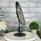 Natural Brazilian Agate "Butterfly Wings", 15.25" Tall #5050NA-097 - Brazil GemsBrazil GemsNatural Brazilian Agate "Butterfly Wings", 15.25" Tall #5050NA-097Agate Butterfly Wings5050NA-097